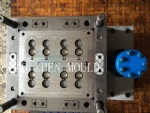 cap mould