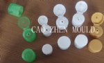 cap mould