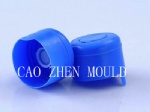 cap mould